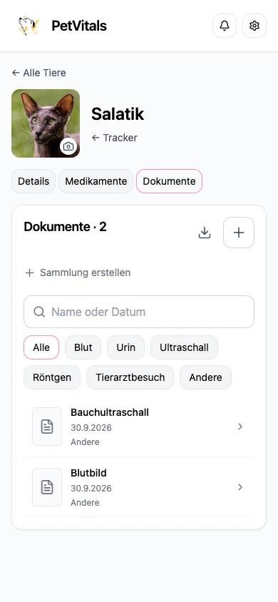 Salatiks Dokumente: Bauchultraschall und Blutuntersuchung
