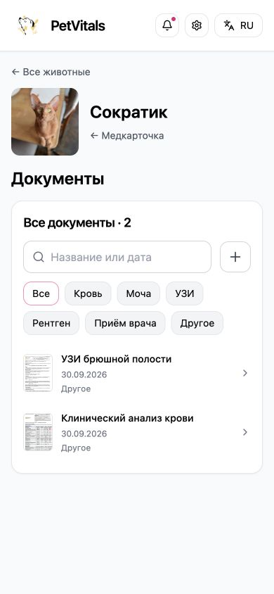 Документы Сократика: УЗИ брюшной полости и клинический анализ крови