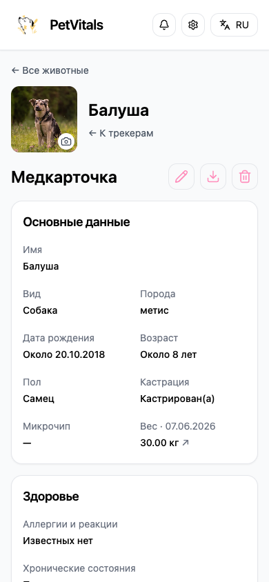 Реальные медкарточки Балуши и Сократика